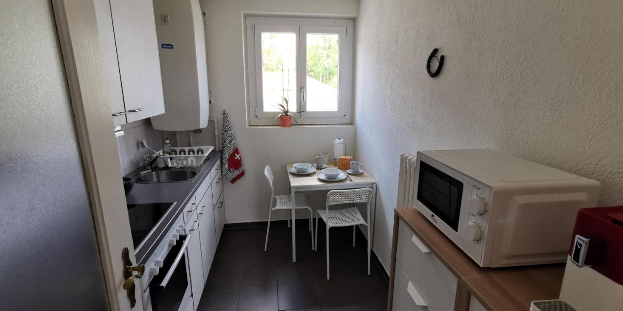 Helvetia 2 Zimmer Apartment Mit Parkplatz Ζυρίχη Εξωτερικό φωτογραφία